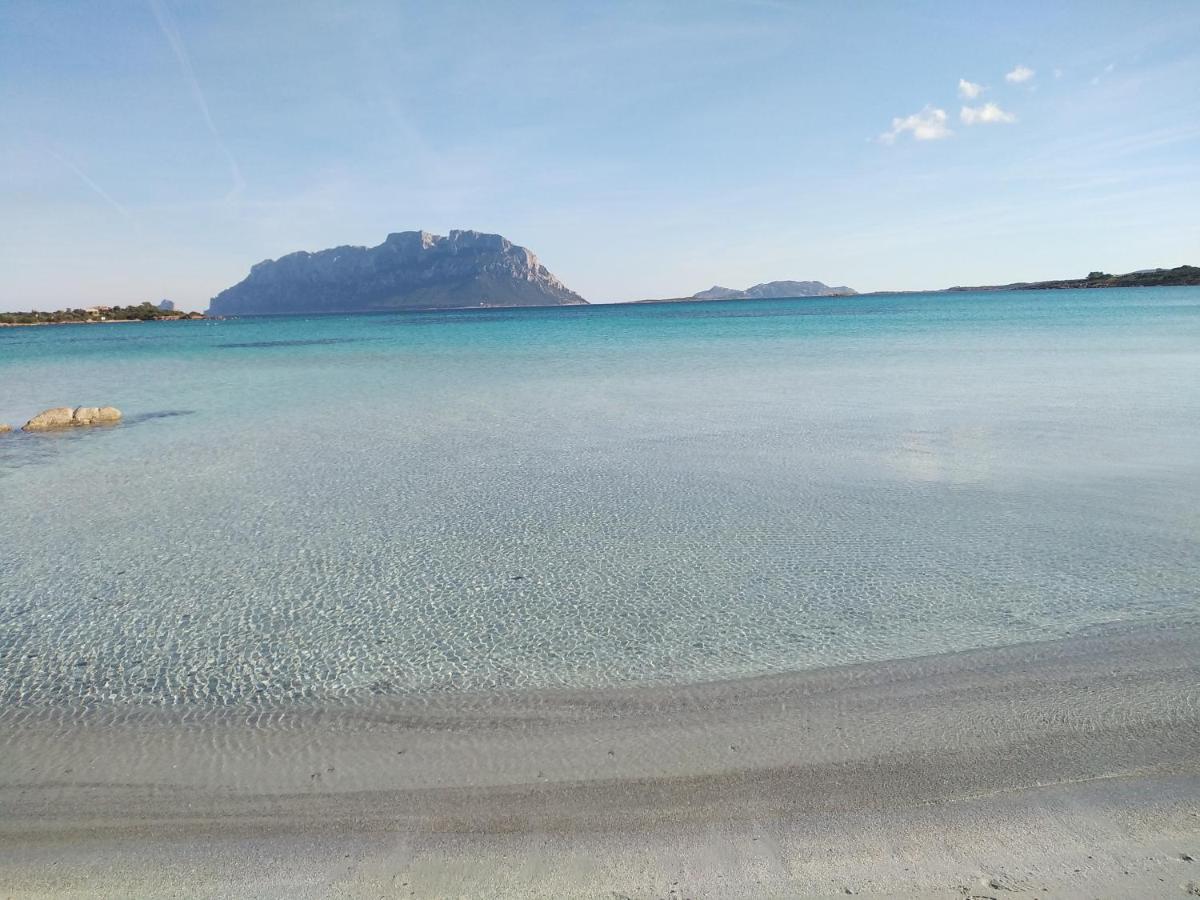 Aria Di Vacanza - Gelsi Олбия Екстериор снимка